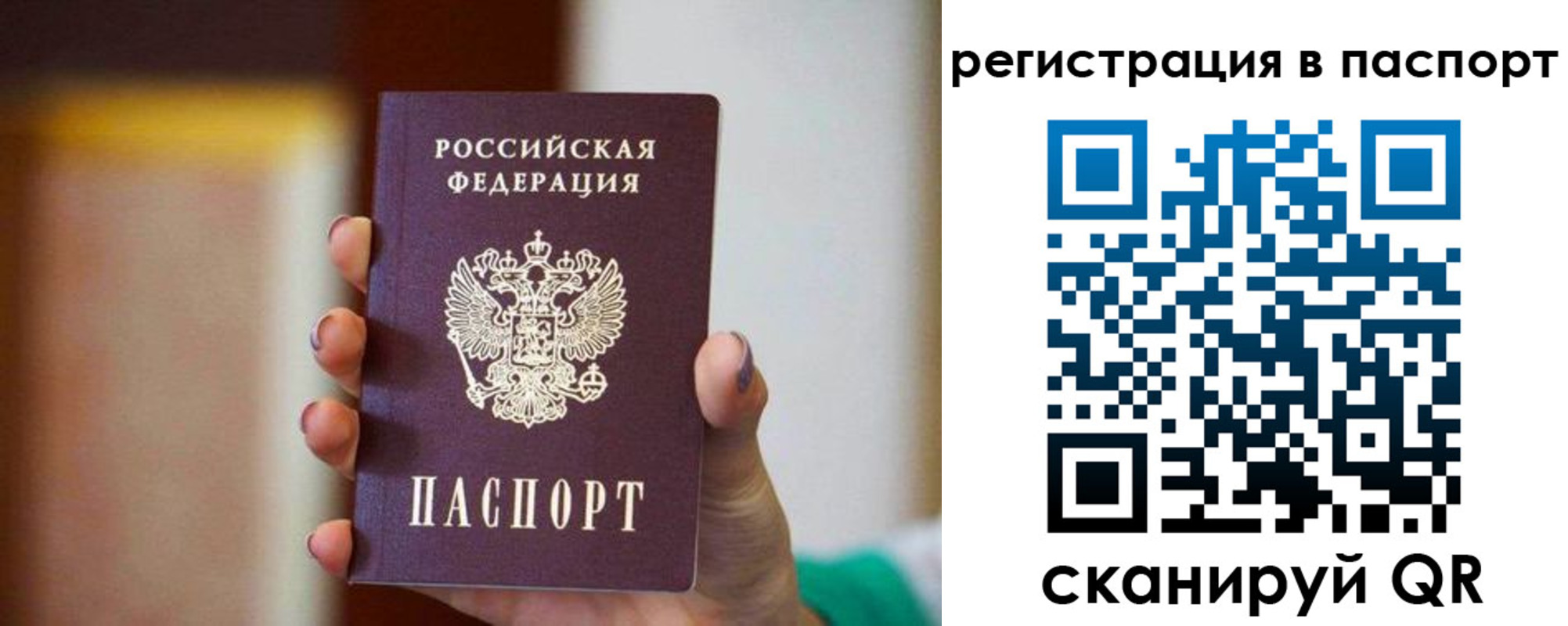 временная регистрация гарантия в Щиграх