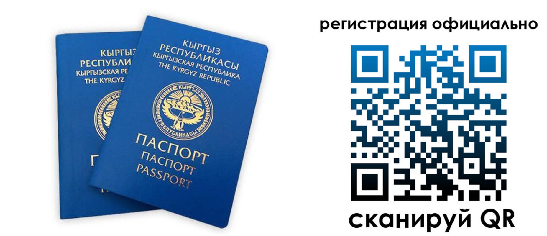 прописка поиск в Щиграх