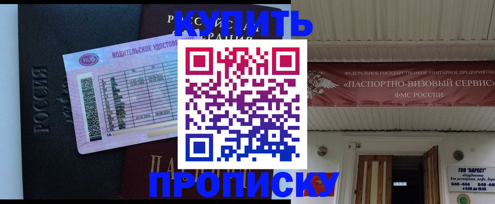 временная регистрация поиск в Щиграх